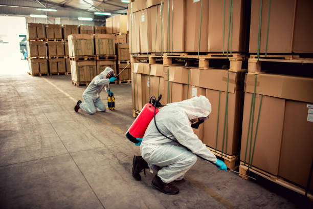 Best Residential Pest Control  in Gilmer, TX