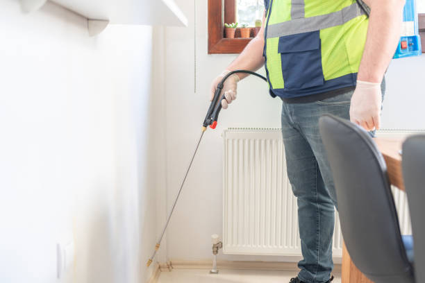 Best Local Pest Control Services  in Gilmer, TX