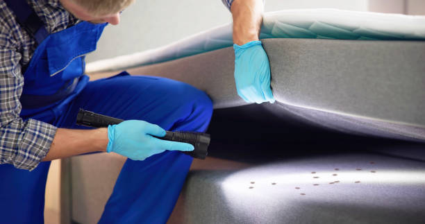 Gilmer, TX Pest Control Company