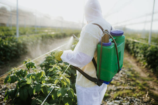 Best Best Pest Control Companies  in Gilmer, TX